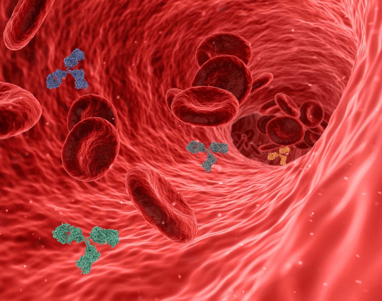 entdecken sie, wie das immunsystem ihren körper vor krankheiten schützt und lernen sie effektive wege zur stärkung ihrer abwehrkräfte.
