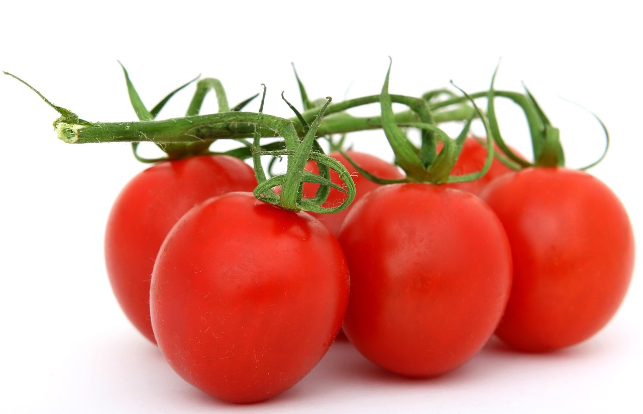 gesunde ernährung: tipps und rezepte für ein ausgewogenes und gesundes leben.