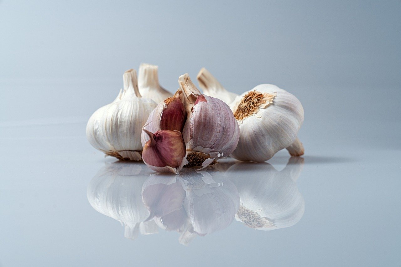 gesunde ernährung: entdecken sie tipps und rezepte für eine ausgewogene und nahrhafte ernährung, die ihr wohlbefinden fördert und energie liefert.